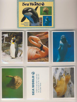 Sea World Twelve Collectible Photos #* Sea World Twelve Collectible Photos #*