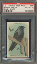 Useful Birds Of America #14 Purple Martin PSA 8 NM-MT #* Useful Birds Of America #14 Purple Martin PSA 8 NM-MT #*