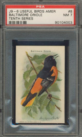 Useful Birds Of America #8 Baltimore Oriole PSA 7 NM  #*