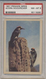 1957 PREMIERE BIRDS..ACORN WOODPECKER PSA 8 NM-MT #* 1957 PREMIERE BIRDS..ACORN WOODPECKER PSA 8 NM-MT #*