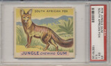 1934 JUNGLE GUM #3 SOUTH AFRICIAN FOX PSA 5.5 EX+  #*