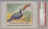 1934 JUNGLE GUM #41 TOUCAN PSA 6 EX-MT #* 1934 JUNGLE GUM #41 TOUCAN PSA 6 EX-MT #*