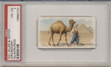 1890 N21 QUADRUPEDS DROMEDARY PSA 4 VG-EX  #*