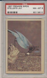 1957 PREMIERE BIRDS..STELLER'S JAY PSA 8 NM-MT  #*