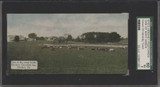 1910 E257-2 HERSHEY POSTCARDS HERSHEY ONE OF MANY HERDS SGC 60 EX 5  #*