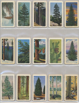 1968 Brooks Bond Canada Ltd FC34-12 Series 11 Trees Of North American Lot Of 32/48  #*