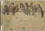 1888-1890 Allen & Ginter A-17 Song Birds Of The World  #*