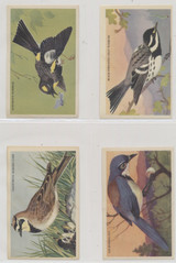 1950's F274-3b Beautiful Birds Of The West Series 17/24  #*