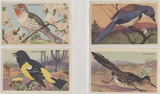 1943 F274-3b Beautiful Birds Of The West Series 17/24  #*sku2044