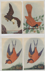 1930's D119 Birds Multiple Bakeries Lot 16  3 1/2 by 5 inches  #*sku2045