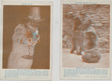1928 D129 Living Pictures Lot Of 2 Will Sell Singles #* 1928 D129 Living Pictures Lot Of 2 Will Sell Singles #*