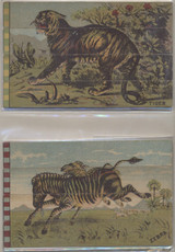 1920'-1930's Wild Animals Lot Of 4 Puzzles  #*