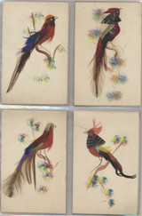 1920's Water Color Hand Painted Bird Made Of Feathers Made In Mexico Lot 14  #*