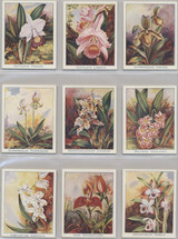 1925 Carreras Ldt Orchids Set 24  #*