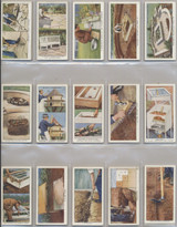 1938 W.D.H.O. Wills Garden Hints Set 50  #*