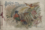 1888-1890 Allen & Ginter A-4 Birds Of The Tropics  #*