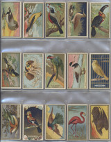 1910 T42 Bird Series Set (100) Series 1 & 2  #*