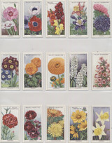 1938 W.D.H.O. Wills Garden Flowers Series A Set 50  #*