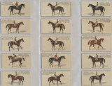 1890 N230 Famous Running Horses (English) Set 25 #* 1890 N230 Famous Running Horses (English) Set 25 #*