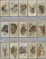 1888 N25 Allen & Ginter Wild Animals Of The World Set (50)  #*