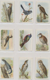 1924 AH2420 Useful Birds Of America Series 6 Set 15  #*