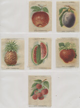 1910 S-50 FRUITS LOT OF (6) 3 BY 4 INCHES  #*