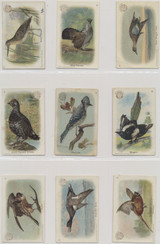 1915-1918  Useful Birds Of America "New Series Of Birds" Set 30 Mixed Backs  #*