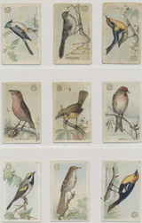 1915-1918  Useful Birds Of America 2nd Series (Small Emblem On Front)  Lot 11/30   #*