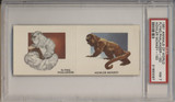 1951 Animals Of The World 2 Card Panel #192 & 193 PSA 7 NM  #*