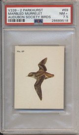 1954 V339-2 Parkhurst Audubon Society By Birds #69 Marbled Murrelet PSA 7.5 NM+ #* 1954 V339-2 Parkhurst Audubon Society By Birds #69 Marbled Murrelet PSA 7.5 NM+ #*
