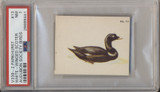 1954 V339-2 Parkhurst Audubon Society By Birds #13 White Wing Scoter PSA 7  NM  #*