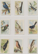 1934Useful Birds Of America 7th Series Set 15  #*