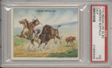 1910 T73 Hassan Cigarettes Indians Life Of 1860's Lassoing Buffalo Calf  PSA 3 VG  #*
