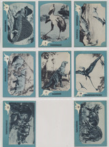 1961 Nu-Cards Dinosaurs Series 28/80  #*sku34996