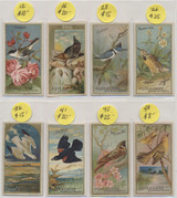 1889 N4 Allen & Ginter Birds 8/50 Mid Grade Average #*sku35032 1889 N4 Allen & Ginter Birds 8/50 Mid Grade Average #*sku35032