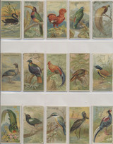 1889 Allen & Ginter  Birds Of The Tropics  20/50  Mid Grade Lot  #*