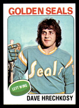 1975-76 Topps #156 Dave Hrechkosy Near Mint RC Rookie 