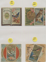 1890 Allen & Ginter N37  Birds Of America Lot 9 WILL SELL SINGLES  #*