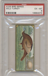 1910 E225 BIRD SERIES Wild Turkey PSA 6 EX-MT+ #* 1910 E225 BIRD SERIES Wild Turkey PSA 6 EX-MT+ #*