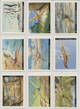 1994 Cottege Cards Pterosaurs Set 18  #*sku35443