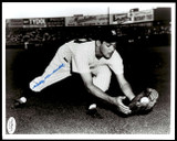 Willy Miranda Photo Signed Auto JSA Authenticated Y Yankees Willy Miranda Photo Signed Auto JSA Authenticated Y Yankees