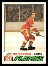 1977-78 O-Pee-Chee #364 Tim Ecclestone Excellent+ OPC 1977-78 O-Pee-Chee #364 Tim Ecclestone Excellent+ OPC