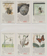 1920'S COCA-COLA F213-3 THE WORLD OF NATURE SERIES VIII "INSECTS, HELPFUL & HARMFUL"   #*sku37467