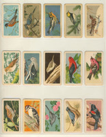 1959 Brooks Bond Canada Ltd FC34-1 Series 1 Songbirds Of North American  Lot 33/48  #*
