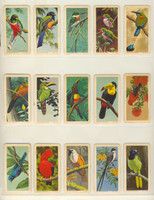 1960's Brooke Bond Canada Ltd F450-5 Series 6 Tropical Birds U S A Made Lot 35/48  #*