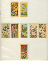 1961 Brooks Bond Canada Ltd FC34-4 Series 3 Wild Flowers Of North American Canada Lot 6 USA Lot 32  #*