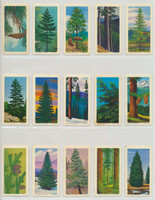 1962 Brook Bond Tea (Canada) Trees Of North America Set 48   #*