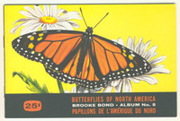 1965 Brooke Bond Canada Ltd Butterflies Of North America FC34-9 Series 8 Lot 46/48 With Unused Album  #*