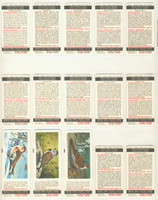 1966 Brooke Bond Canada Ltd Canadian/American Songbirds FC34-10 Series 9 Set 48  #*