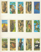 1972 Brooke Bond Canada Ltd Animals And Their Young FC 34-16 Series15 Lot 31/48 with Unused Album  #*